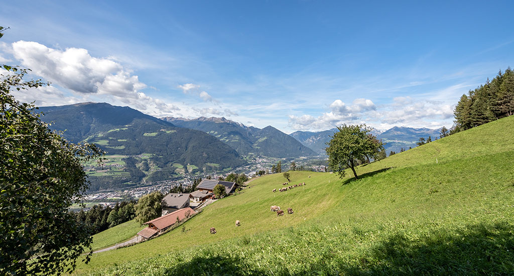aktivurlaub-bauernhof-suedtirol