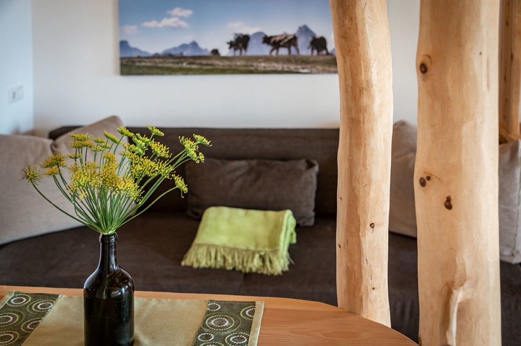 ferienwohnung-urlaubsfreude-15
