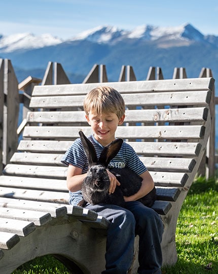 children farmstroke the rabbit