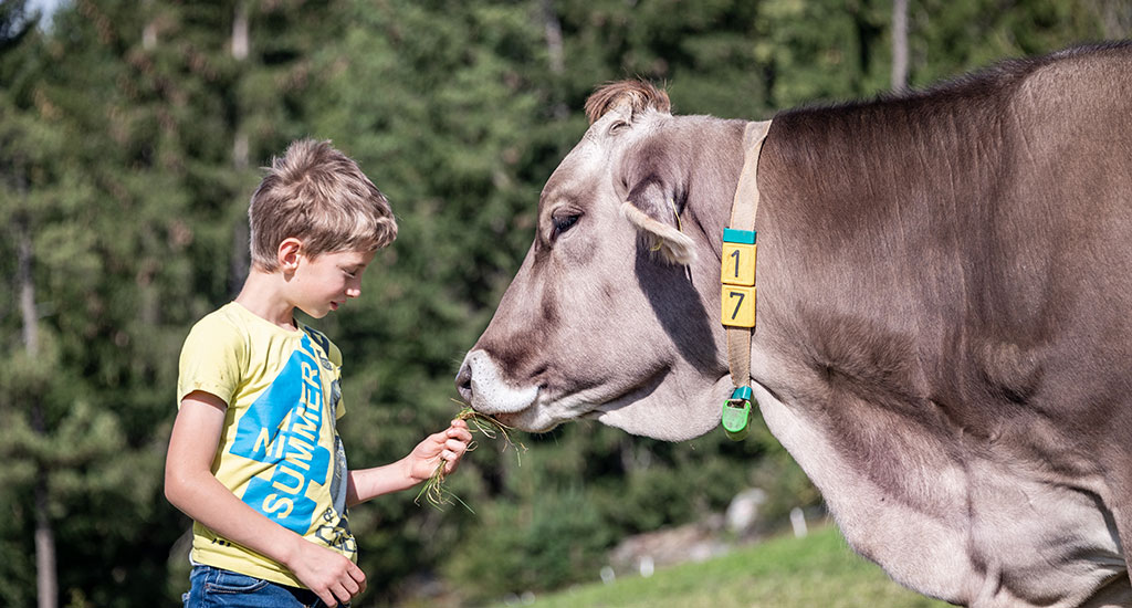 Hands-on farm