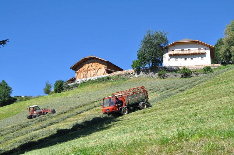 Agriturismo partecipativo Alto Adige-02