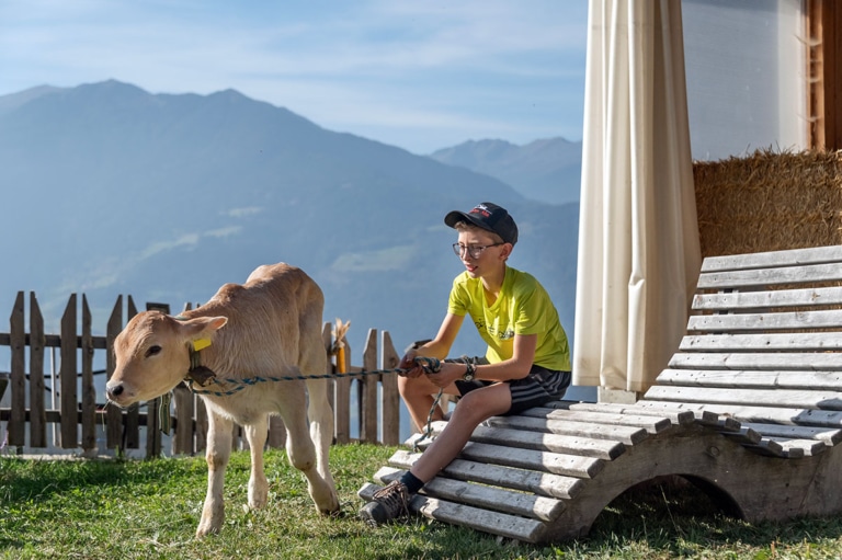 Mitmachbauernhof Kalb