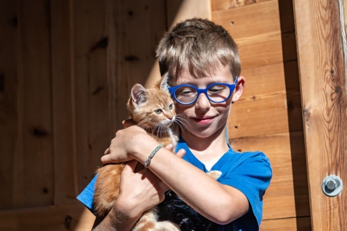 Mitmachbauernhof Katze Streicheln