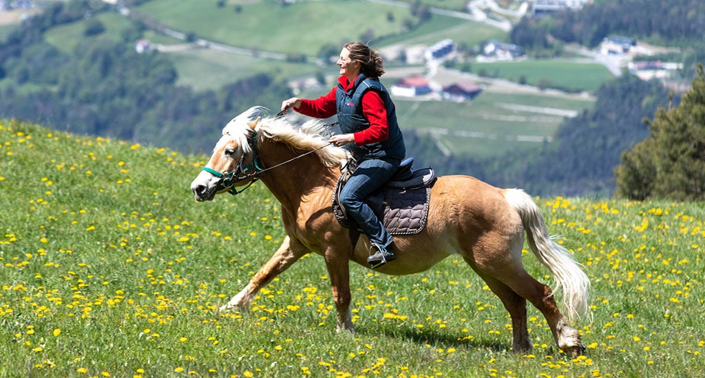 reiten-aktivbauernhof-suedtirol