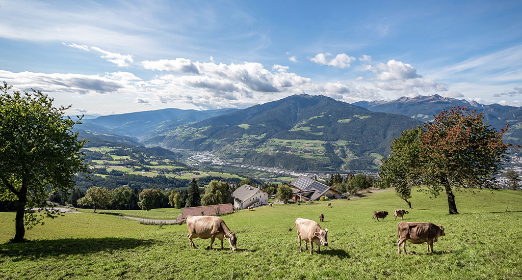 Agriturismo di montagna Bressanone