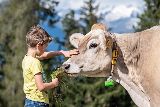 Farm holidays with family